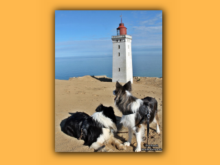 Rubjerg Knude (12).jpg